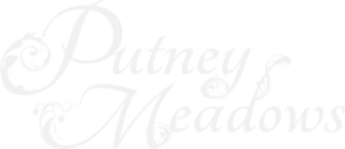 Putney Meadows