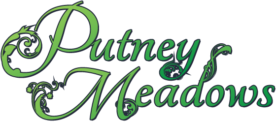 Putney Meadows